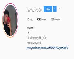 As of March 2020, Wavy's Instagram account has accumulated over four thousand followers.